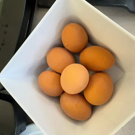 شقة فندقية Malibu Park