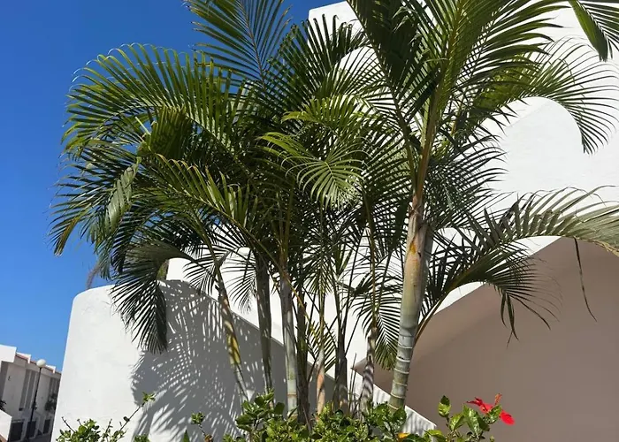 Malibu Park شقة فندقية