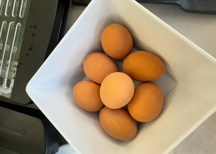 شقة فندقية Malibu Park