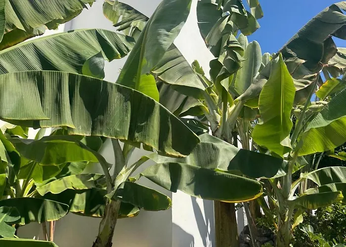 شقة فندقية Malibu Park 3*