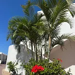 Malibu Park Hotel apartamentowy