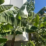Hotel apartamentowy Malibu Park 3*
