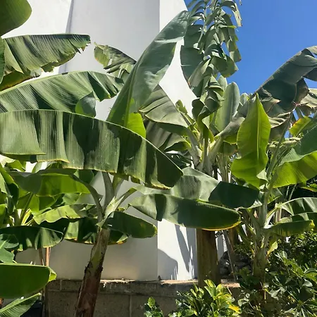 Aparthotel Malibu Park 3*